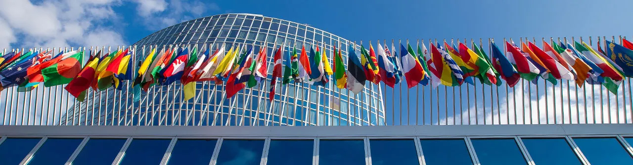 WIPO (Diplomatic Conference cover): WIPO buildings front with flags of all member states. Copyright: WIPO 2025